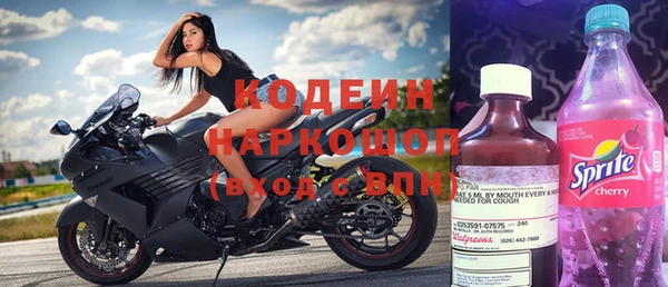 трава Белокуриха