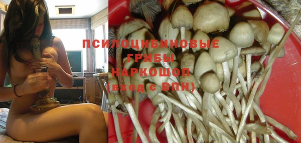 трава Белокуриха
