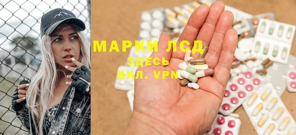 трава Белокуриха