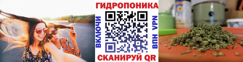 Шишки марихуана Bruce Banner  Купить  Белый 